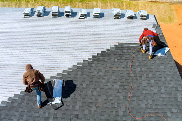Roof Gutter Cleaning in Elkader, IA