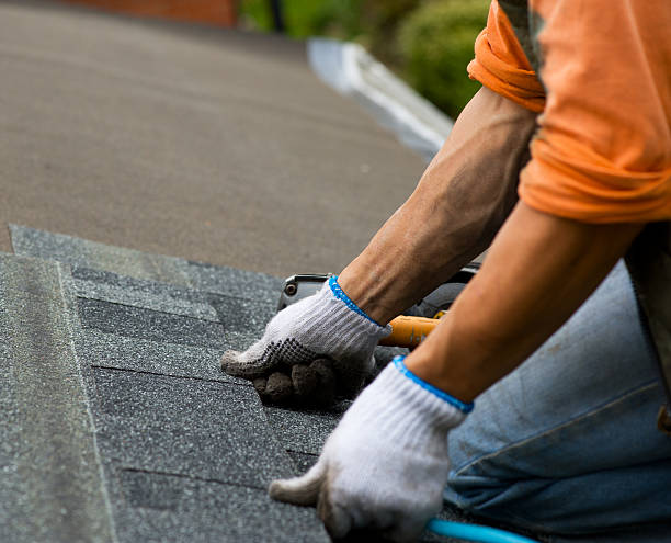 Best Storm Damage Roof Repair  in Elkader, IA